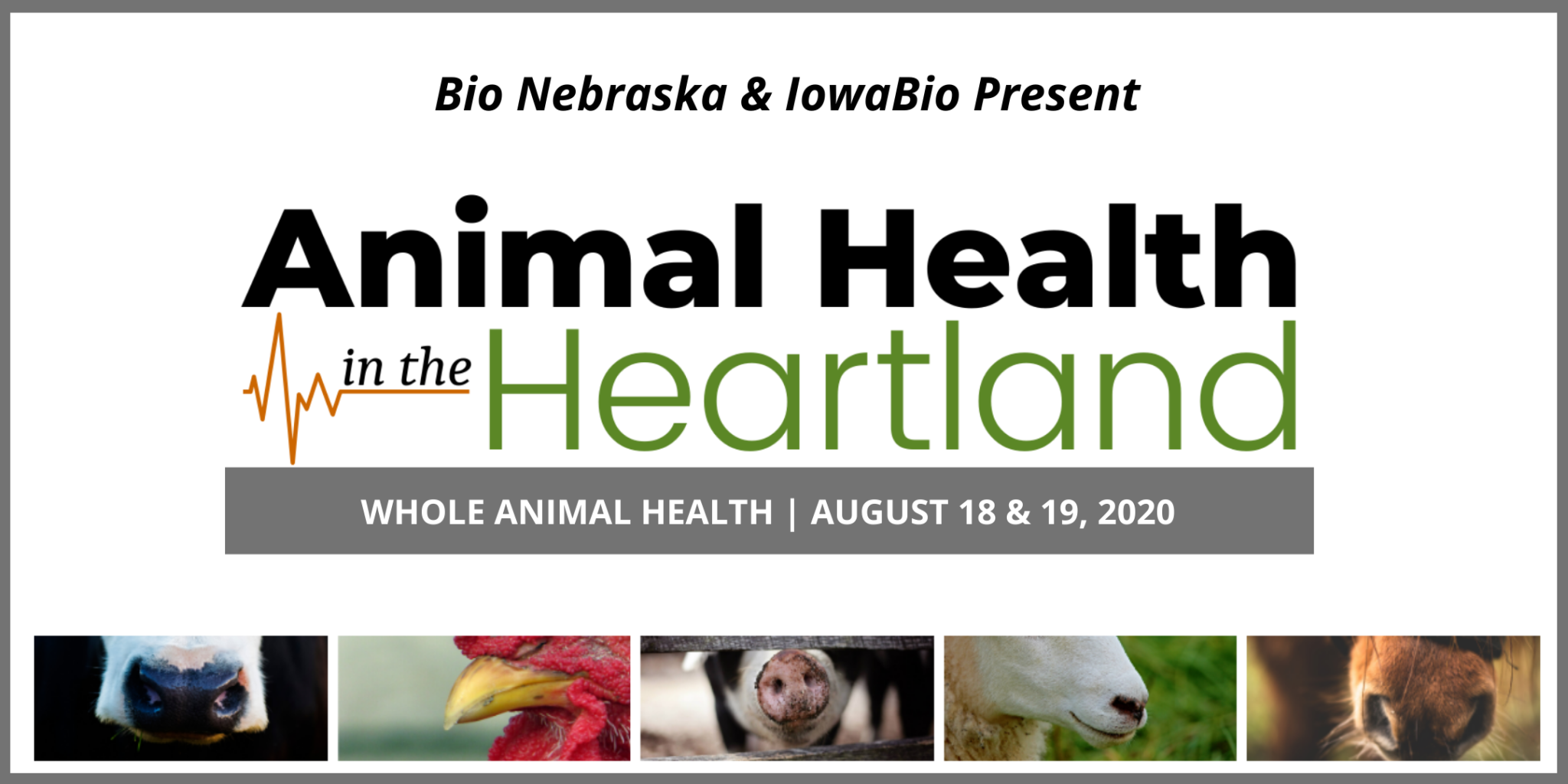 Animal Health in the Heartland Bio Nebraska