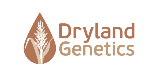 Welcome Dryland Genetics